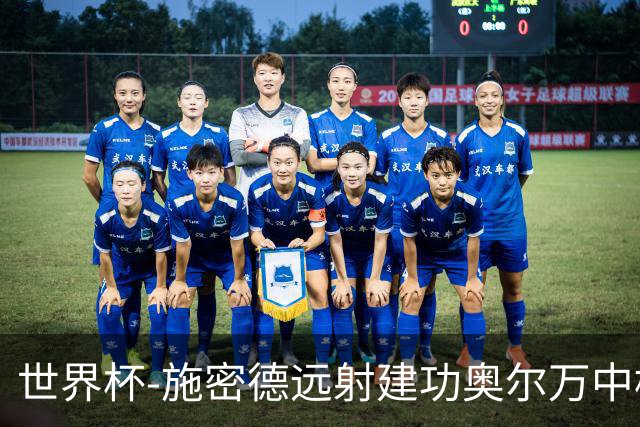 世界杯-施密德远射建功奥尔万中框 半场奥地利1-0约旦
