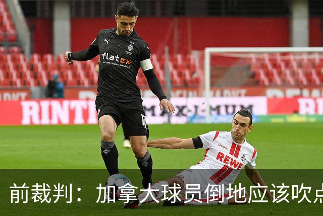 前裁判：加拿大球员倒地应该吹点球，VAR介不介入的标准不统一